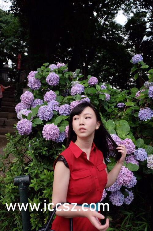 欧美韩国视频一二三