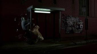 免费看欧美插b视频,揭秘欧美免费观看的成人视频资源