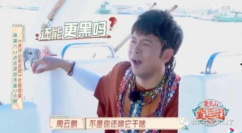 宝哥吃瓜视频合集,揭秘娱乐圈那些事儿