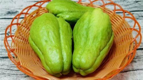 鼠可以吃佛手瓜吗视频,佛手瓜成为鼠类美食