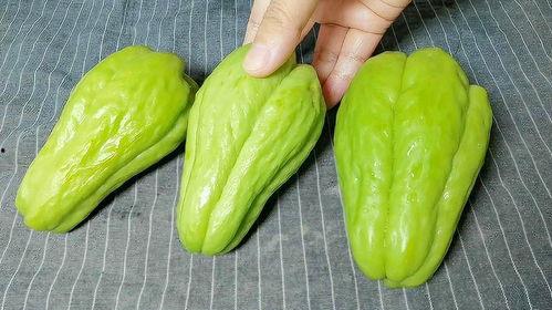 鼠可以吃佛手瓜吗视频,佛手瓜成为鼠类美食