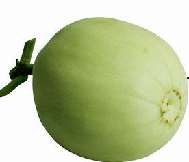 吃梨瓜啥效果最好呢视频,揭秘最佳食用效果